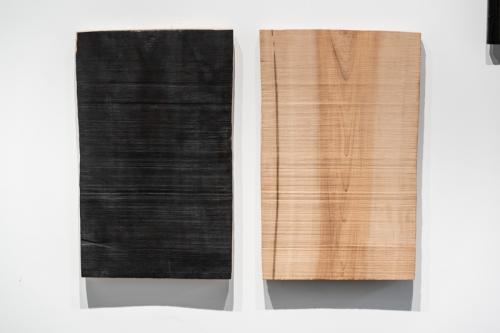 Robert Prenovault - Diptych ligneux #1